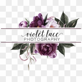 Gilliflower, HD Png Download - purple lace png