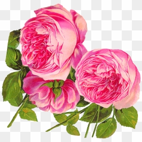 Transparent Rose Art Png - Digital Pink Png Flowers, Png Download - rose art png