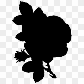 Transparent Rose Art Png Cartoon - Has A Bee Ever Landed On You, Png Download - rose art png