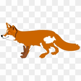 Fox Animal Wildlife Free Photo - Cartoon Fox, HD Png Download - fox paw print png