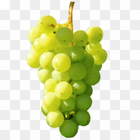 Fruit Hd Wallpapers For Android, HD Png Download - grape emoji png