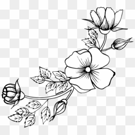 Hand Drawn Flower Png, Transparent Png - white floral png