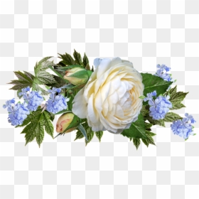 White And Pink Roses Png, Transparent Png - white floral png