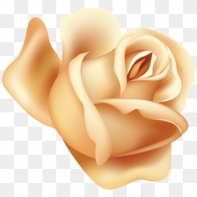 Garden Roses, HD Png Download - peach flower png
