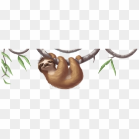 Sloth Png - Png Transparent Sloth Png, Png Download - baby sloth png