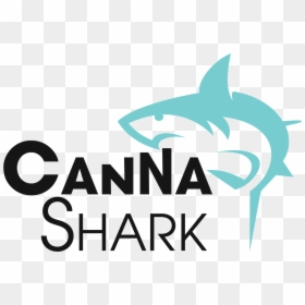 Cannashark Consulting - Great White Shark, HD Png Download - seth rogen png