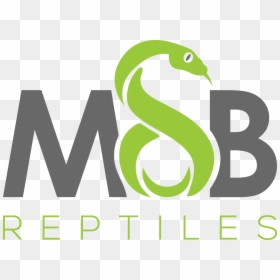 Msb Reptiles - Graphic Design, HD Png Download - snake scales png