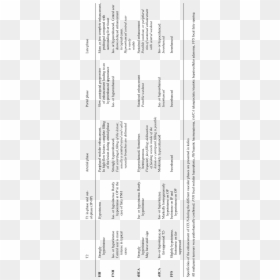 Matrix Of Change Sample, HD Png Download - easle png