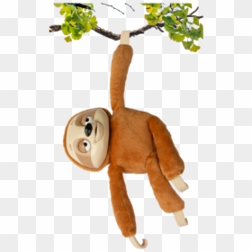 Mr Slooou - Club Petz Mr. Slooou Plush, HD Png Download - baby sloth png