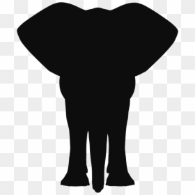 Indian Elephant African Elephant Silhouette Clip Art - Elephant Front Clip Art, HD Png Download - motif png