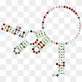 Circle, HD Png Download - motif png