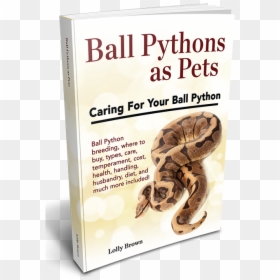 , Ball Pythons Landing, Ball Pythons As Pets - Boa Constrictor, HD Png Download - ball python png