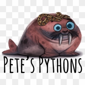 Cute Walrus Art, HD Png Download - ball python png