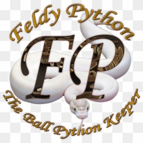 Feldytransparant2 - Calligraphy, HD Png Download - ball python png