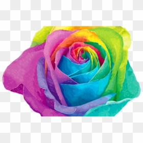 Pin By Carol Marie Littlejohn On Photo Roll Pinterest - Rainbow Flower Png, Transparent Png - rainbow rose png