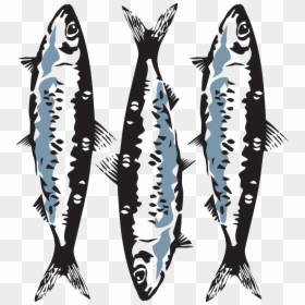 Sardine - Marine Mammal, HD Png Download - sardine png