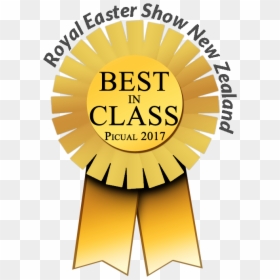 Royal Easter Show Best In Class - Dr. Rafael Belloso Chacin University, HD Png Download - class of 2017 clipart png