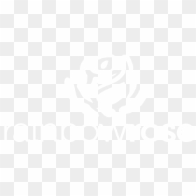 Rainbow Rose - Graphic Design, HD Png Download - rainbow rose png