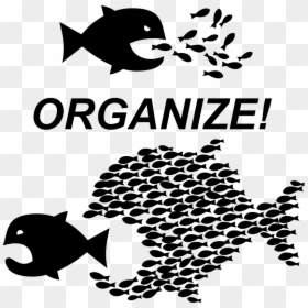 Organize Workers Unite - Organize Fish, HD Png Download - organize png