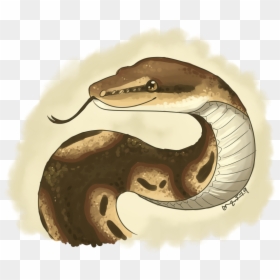 Snake Commissions, HD Png Download - ball python png