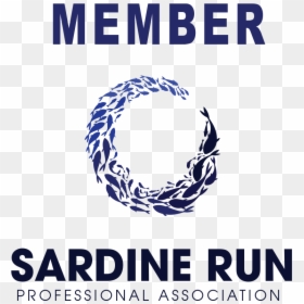 Poster, HD Png Download - sardine png