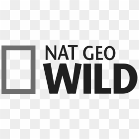 Natgeowild - Nat Geo Wild, HD Png Download - black kitten png
