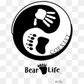 Yung Yang Bear, HD Png Download - coexist png