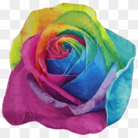 Rainbow Rose, HD Png Download - rainbow rose png