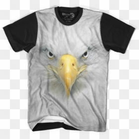 Maga Brothers, HD Png Download - eagle face png