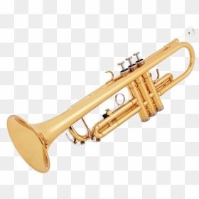 Trumpet Transparent - Trumpet Instrument, HD Png Download - bugle png