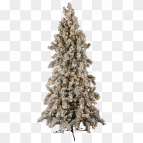 12 - Tree, HD Png Download - snow pine tree png