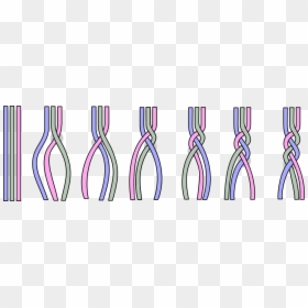 Braiding A-technique - Braiding Technique, HD Png Download - hair braid png