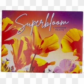 Super Bloom Eyeshadow Palette - Wildflower, HD Png Download - california poppy png