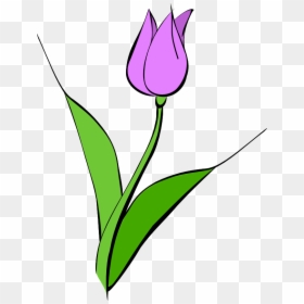 Purple Rose Clipart Animated - Tulip Clipart, HD Png Download - simple flower png