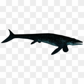Mosasaurus Render, HD Png Download - mosasaurus png
