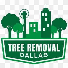 Dallas Tree Removal - Tree, HD Png Download - mesquite tree png