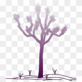 Illustration, HD Png Download - mesquite tree png