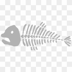 Beware Cartoon Dead - Dead Fish Bones Png Transparent, Png Download - cartoon skeleton png
