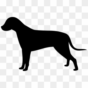 Labrador Retriever English Mastiff Clip Art Openclipart - Dog Full Body Clip Art, HD Png Download - mastiff png