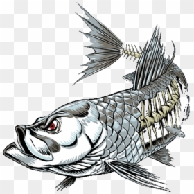 Imagenes Fish Skinz Decais, HD Png Download - cartoon skeleton png