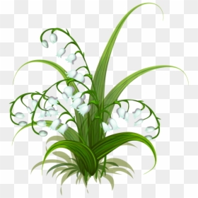 Clip Art Flower Flowers - Grass, HD Png Download - lily of the valley png