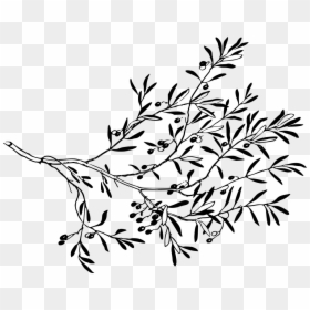 Tree Branch With Leaves Drawing, HD Png Download - flower branch png