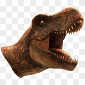 #jurassicworld #jurassicworld2 #indoraptor #dinosaur - Dinosaur, HD Png Download - mosasaurus png