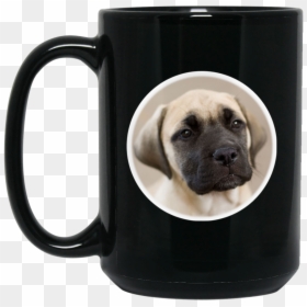 House Train A Nebolish Mastiff, HD Png Download - mastiff png