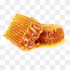Honey Free Png - Honey, Transparent Png - honeycomb background png
