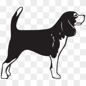 Beagle German Shorthaired Pointer Bullmastiff English - Beagle Clipart Black And White, HD Png Download - mastiff png