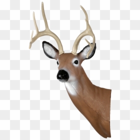 Picture 1 Of - Deer Head Transparent, HD Png Download - reindeer head png
