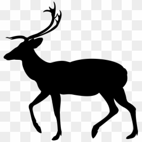 Clip Art White-tailed Deer Silhouette Moose - Antelope Clipart, HD Png Download - white tailed deer png