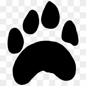 Tiger Paw Print Png, Transparent Png - claw marks png