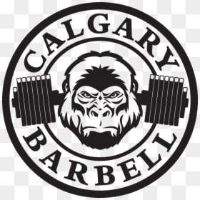 Barbell Png, Transparent Png - barbell png